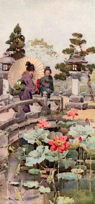 Lotusblomster (farvelitografi) af Ella Du Cane