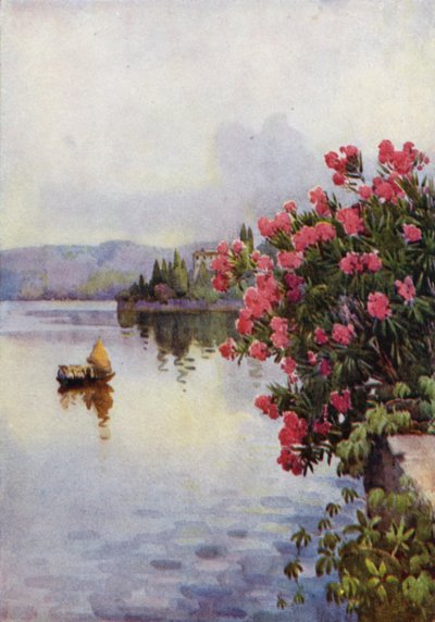 Oleandere (farve litho) af Ella Du Cane