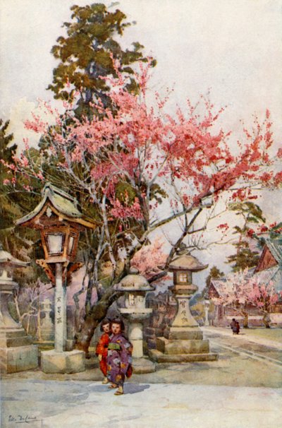 Blommeblomst og lanterner (farve litho) af Ella Du Cane