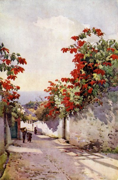 Julestjerne på Mount Road (farve litho) af Ella Du Cane