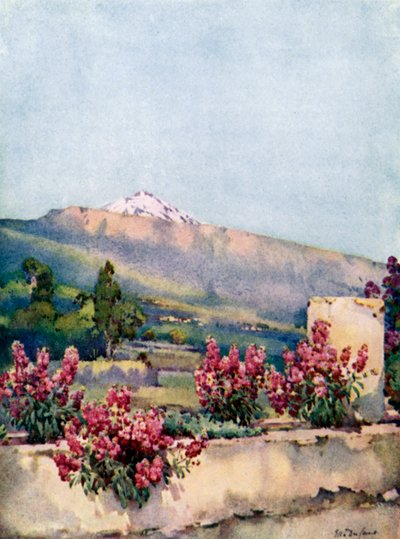 The Peak, fra Villa Orotava (farve litho) af Ella Du Cane