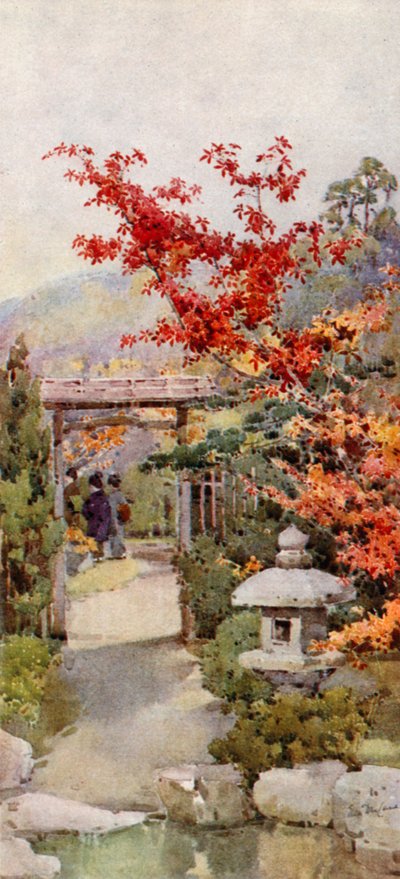 The Scarlet Maple (farve litho) af Ella Du Cane