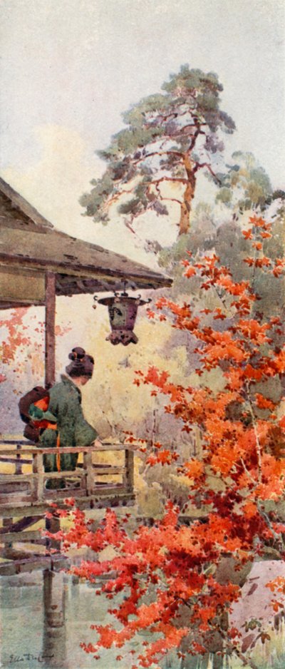 Se ahornene (farve litho) af Ella Du Cane
