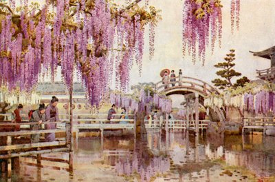 Wistaria, Kameido (farve litho) af Ella Du Cane