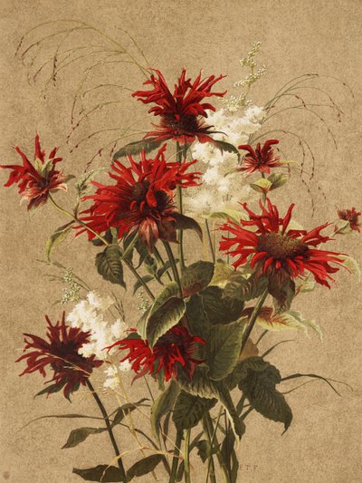  af Ellen Thayer Fisher
