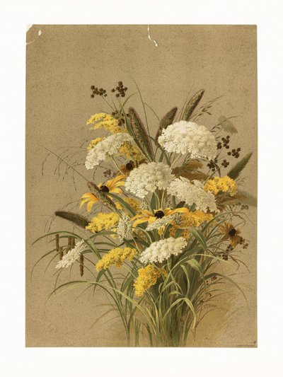  af Ellen Thayer Fisher