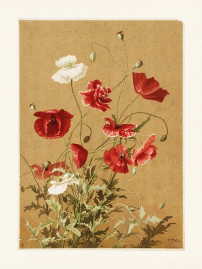  af Ellen Thayer Fisher