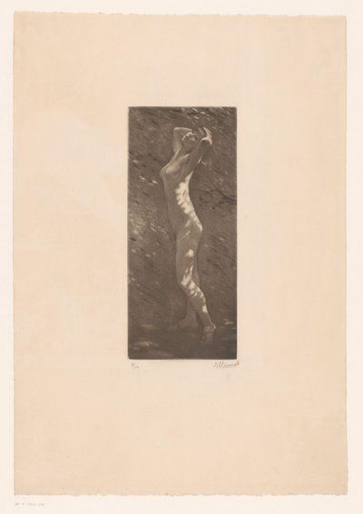 Nøgen kvinde i sollys af Ellinnot (signed by artist)