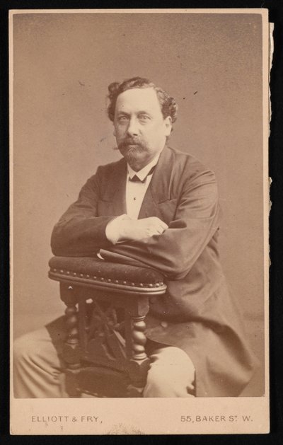Portræt af David Forbes 1828-1876, 1874. af Elliott and Fry