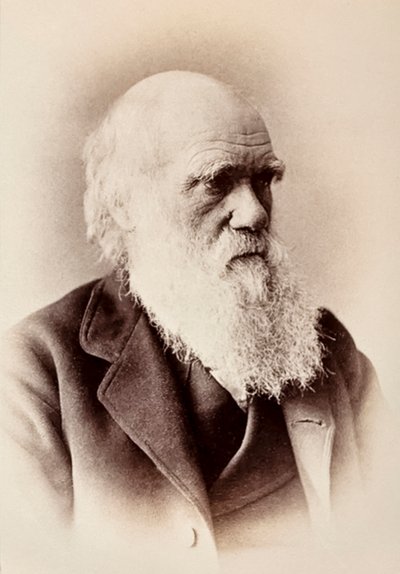 Charles Darwin: Engelsk naturforsker af Elliott und Fry Studio