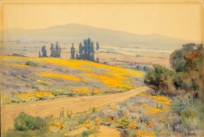 Californiens forårslandskab af Elmer Wachtel