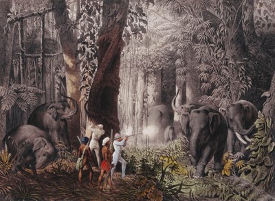 Rejser... i Østindien, Ceylon, Java, Kina og Bengalen af Emanuel Andrasy