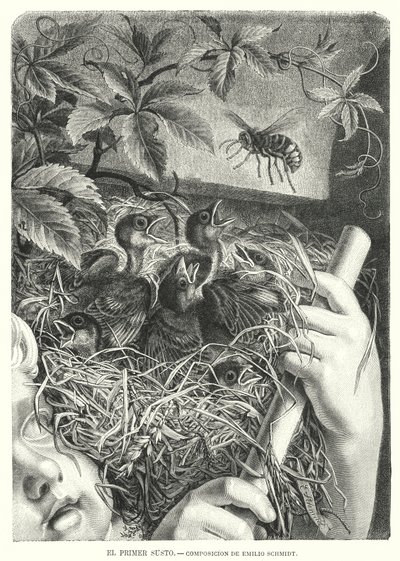 Den første forskrækkelse (litho) af Emil (after) Schmidt