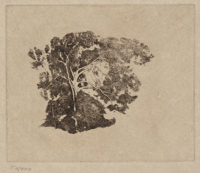 Træstudie af Emil Carlsen