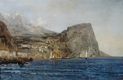 Kystlandskab i Dalmatien af Emil Jakob Schindler