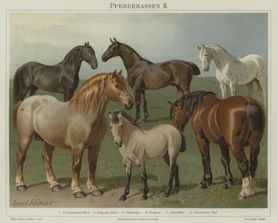 Hesteracer af Emil Volkers
