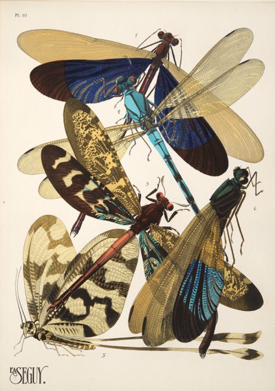 Tallerken 10 fra Insectes, pub. 1930