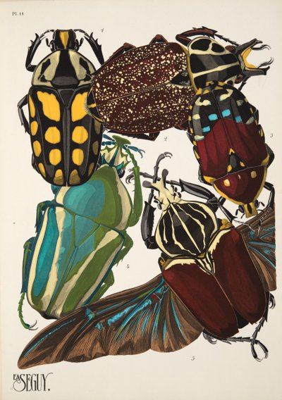 Tallerken 11 fra Insectes, pub. 1930