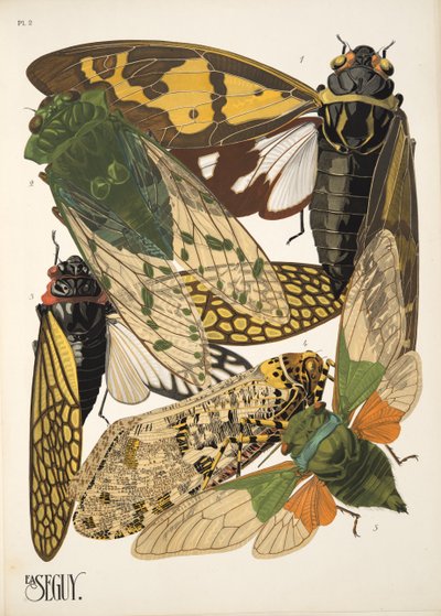 Tallerken 2 fra Insectes, pub. 1930