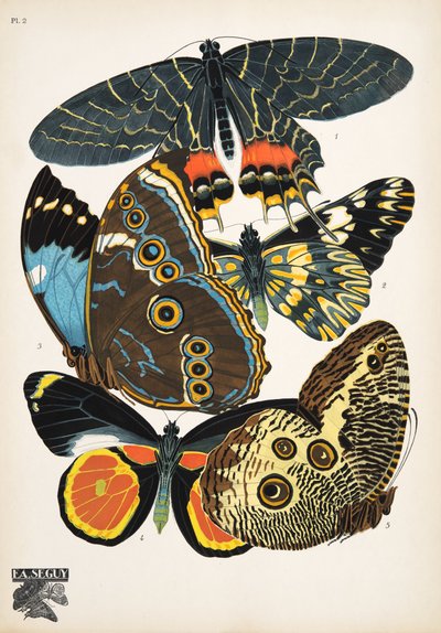 Tallerken 2, fra Butterflies, pub. 1925 (stenciltryk) af Émile Allain Séguy