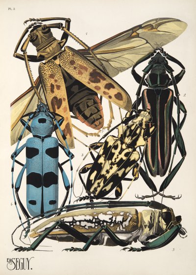 Tallerken 3 fra Insectes, pub. 1930