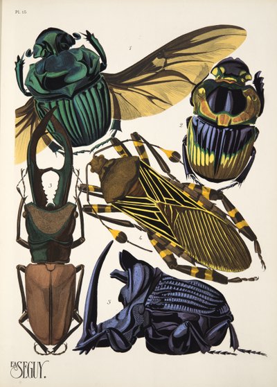 Tallerken 15 fra Insectes, pub. 1930