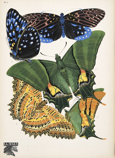 Tallerken 6, fra Butterflies, pub. 1925 (stenciltryk) af Émile Allain Séguy
