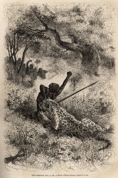 En leopard springer på en mand og bider ham grusomt i ryggen, i nærheden af Bambare (Congo), graverer efter en tegning af Emile Bayard, der illustrerer David Livingstones sidste dagbog (1813-1873), i 1866-1873, udgivet i " ”Le tour du monde”” 1875, red af Emile Antoine Bayard