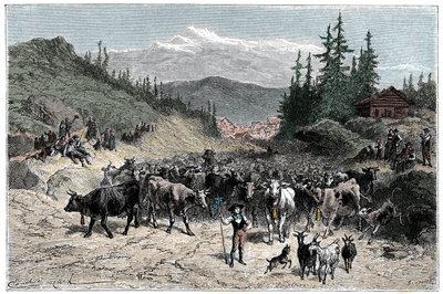 Alperne: jodel eller afgang besætninger (køer, geder) mod græsgange. Illustration af Emile Bayard til bogen Les Montagnes d