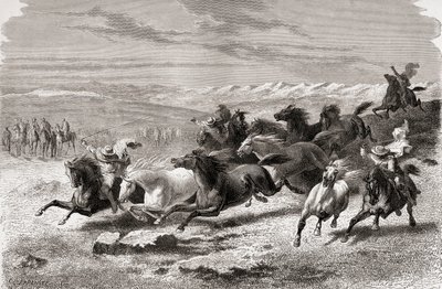Argentinske gauchos samler vilde heste sammen, illustration fra "The World in the Hands", graveret af Charles Laplante (død 1903), udgivet i 1878 af Emile Antoine Bayard