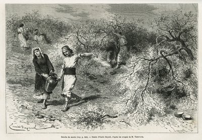 Samlingen af kit, en hvid harpiks af linse, i sommersæsonen, er grundlaget for fremstillingen af en anis brandy, tegning af Emile Bayard, for at illustrere historien "Chio Island" (Østlige Tyrkiet), i 1877, af Dr. A. Testevuide. Indgravering i Le af Emile Antoine Bayard