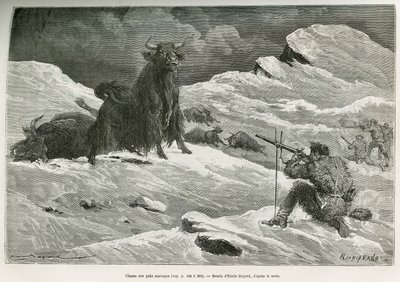 Vild yakjagtscene, tegning af Emile Bayard for at illustrere rejsen til Mongoliet og Tangouternes land fra 1870 til 1873, af oberstløjtnant Przewalski. Indgravering i Le tour du monde af Emile Antoine Bayard
