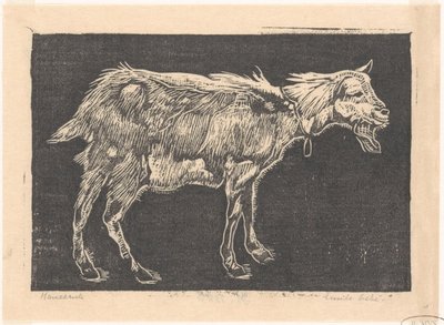 Ged af Emilius Wilhelmus Dehé (signed by artist)