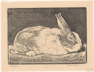 Kanin af Emilius Wilhelmus Dehé (signed by artist)