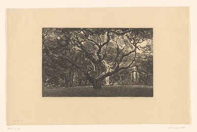 Gammelt træ af Emilius Wilhelmus Dehé (signed by artist)