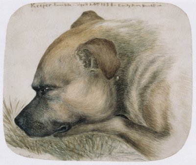Keeper - from life, 1838 (blyant og wc på papir) af Emily Bronte