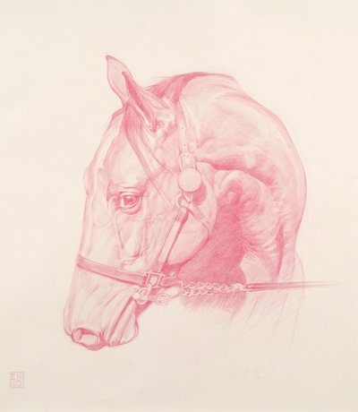 Portræthoved, 2010 (rødt kridt på papir) af Emma Kennaway
