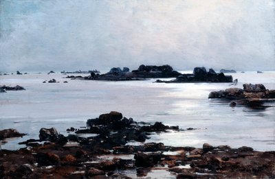 Ile de Sein, 1884 af Emmanuel Lansyer