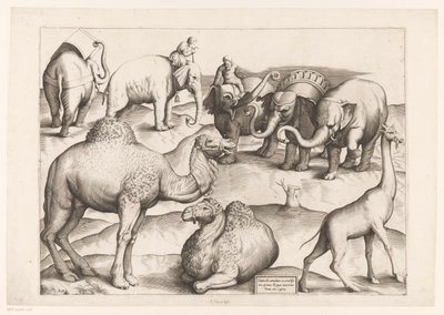 Otte dyr Dyr til antikke vægmalerier (serietitel) Speculum Romanae Magnificentiae (serietitel) af Enea Vico (attributed to)