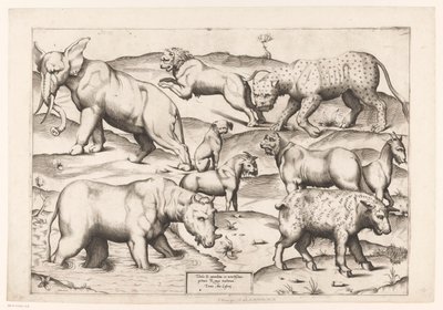 Ni dyr Dyr til antikke vægmalerier (serietitel) Speculum Romanae Magnificentiae (serietitel) af Enea Vico (attributed to)