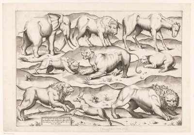 Ni vilde dyr Dyr til antikke vægmalerier (serietitel) Speculum Romanae Magnificentiae (serietitel) af Enea Vico (attributed to)