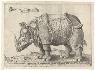 Neushoorn Rhinocerus (titel på objekt) af Enea Vico