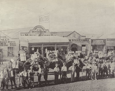 A Camel Train, Coolgardie, West Australia af English Photographer