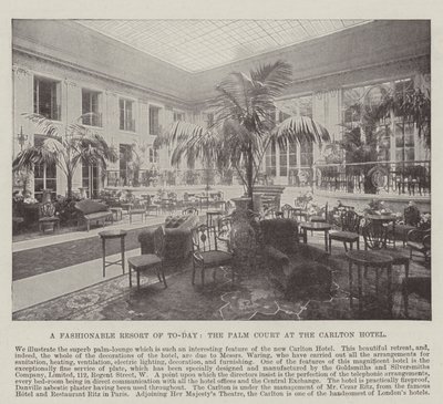 Et moderne feriested, Palm Court på Carlton Hotel af English Photographer
