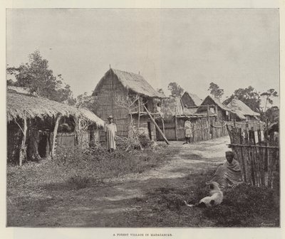 En skovlandsby på Madagaskar af English Photographer