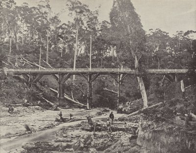 A Miners Claim, nær Daylesford, Victoria af English Photographer