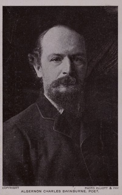 Algernon Charles Swinburne (1837-1909), engelsk digter og dramatiker af English Photographer