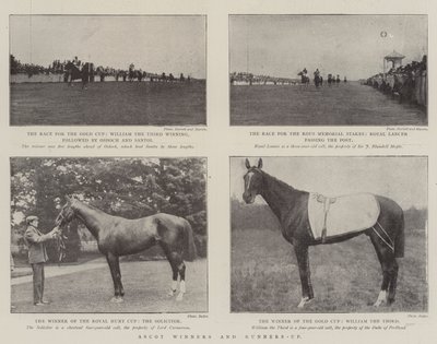 Ascot-vindere og andenpladser af English Photographer