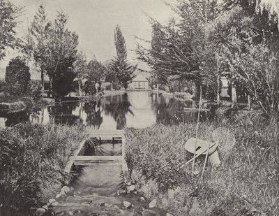 Ved laksedammene, New Norfolk af English Photographer