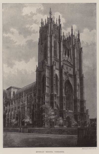Beverley Minster, Yorkshire af English Photographer